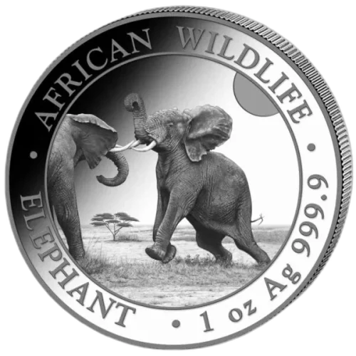 Slon-Somalijski-African-Wildlife-1-uncja-Srebra-2024-rewers Słoń Somalijski 1 oz 2024 – Moneta Srebrna 9999 (1 uncja)