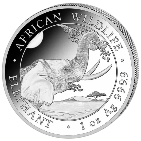 Słoń Somalijski 1 oz 2023 – Moneta Srebrna 9999 (1 uncja)
