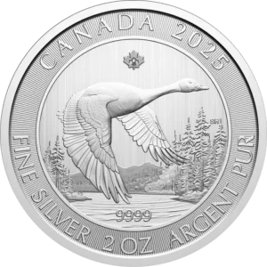 Canada-Goose-2-uncje-Srebra-2025-rewers Srebrna moneta Kanadyjska Gęś 2 uncje 2025 Royal Canadian Mint – rewers z gęsią kanadyjską