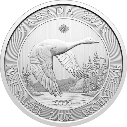 Canada-Goose-2-uncje-Srebra-2025-rewers Srebrna moneta Kanadyjska Gęś 2 uncje 2025 Royal Canadian Mint – rewers z gęsią kanadyjską
