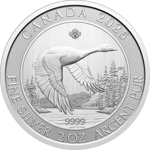 Canada-Goose-2-uncje-Srebra-2025-rewers Srebrna moneta Kanadyjska Gęś 2 uncje 2025 Royal Canadian Mint – rewers z gęsią kanadyjską