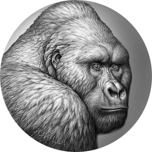 Mountain Gorilla 2 oz 2021 Cameroon – Moneta Srebrna 999 (2 uncje)