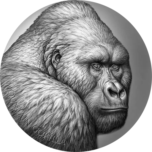 Mountain Gorilla 2 oz 2021 Cameroon – Moneta Srebrna 999 (2 uncje)