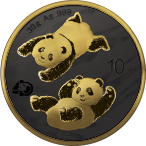 Chińska Panda: Golden Night Kolor 1 uncja srebra 2022