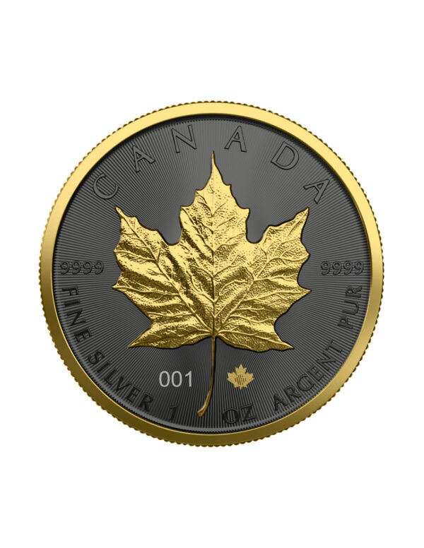 Srebrna Moneta Kanadyjski Liść Klonowy Ruten Golden Ring 1 oz Kanada 2021 | Ag 9999